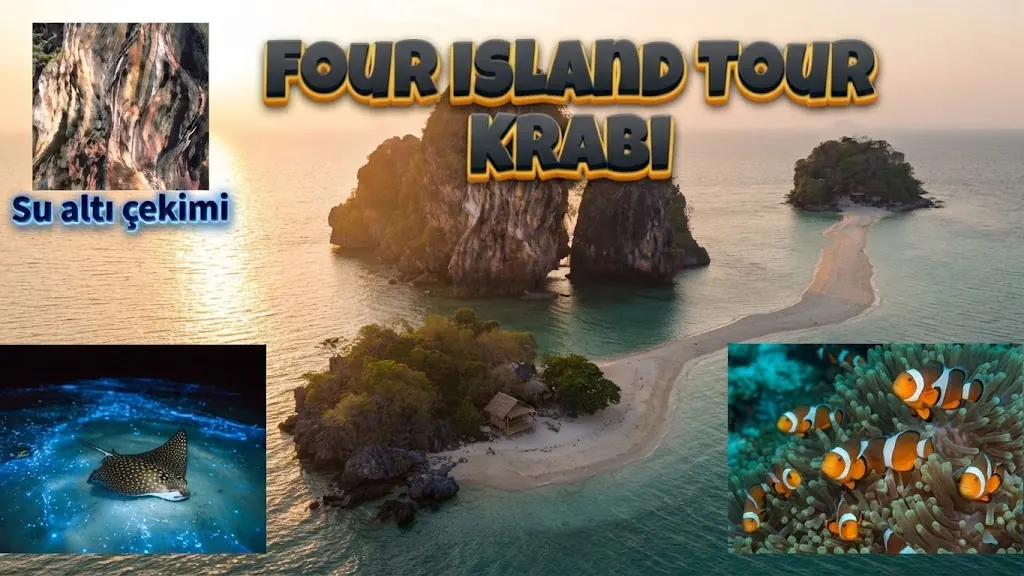 Four Island Tour Krabi collage: sandbar aerial, a glowing night swim with a ray, and clownfish in an anemone
