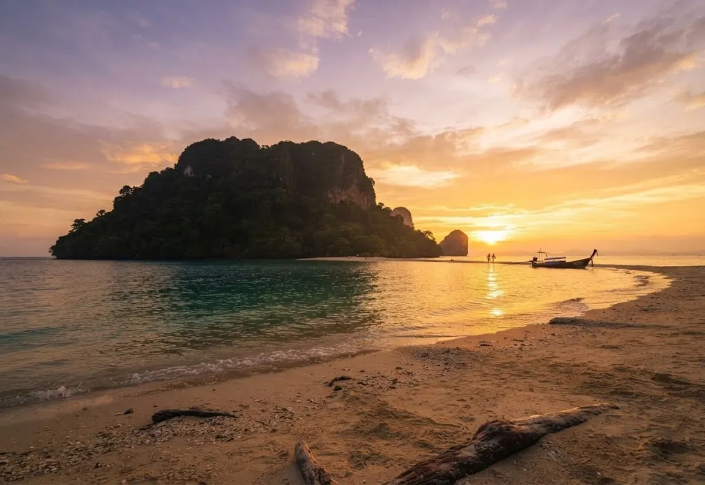 Forested island and a driftwood-strewn beach at sunset on the 4 Islands route